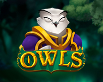 Owls